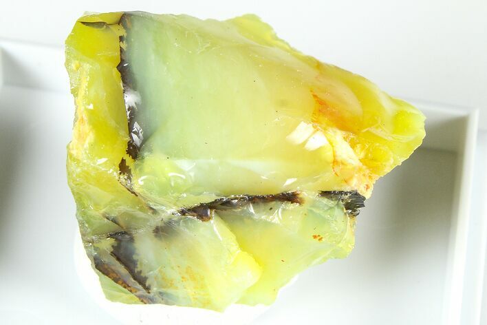 Natural Honey-Opal Specimen - Tanzania #380009